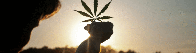 how much weed can you buy legally